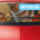Illustration for article titled Florida Woman Drives Into A House Because She Was Driving While Praying With Her Eyes Closed